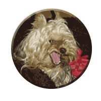 Nein, ich bin nur m�de